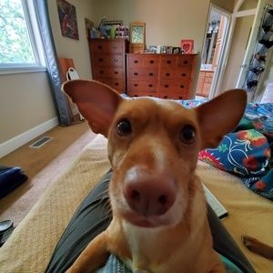 Meet your Posher, Tom